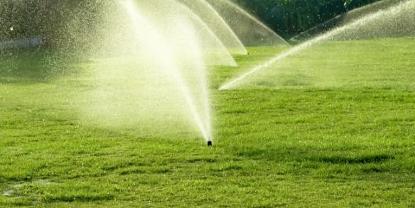 Sprinklers that run off smart rain's app that helps with landscaping