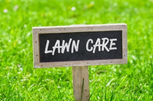 Sign on a green lawn - Lawn care
