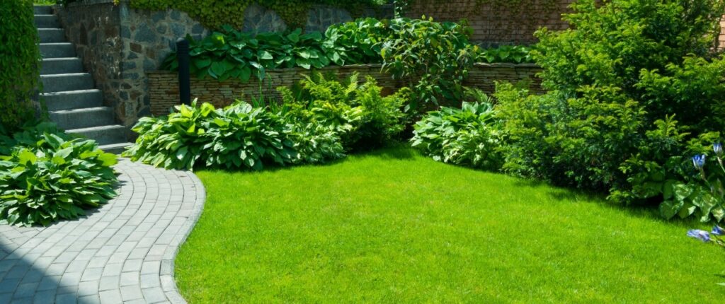 Landscapes that are classified as natural landscaping. When should I water my lawn? 