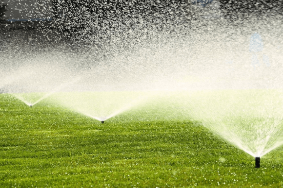 Irrigating lawn