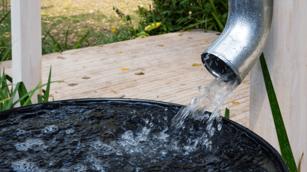 Rain Harvesting